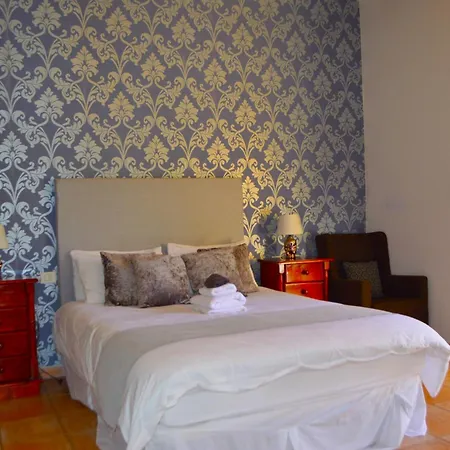 Ziggys Mountain Retreat (Adults Only) Bed & Breakfast Vilaflor Room photo